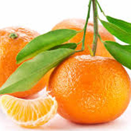 Mazen Shop - Clementine